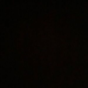 Meet your Posher, Lauren laser